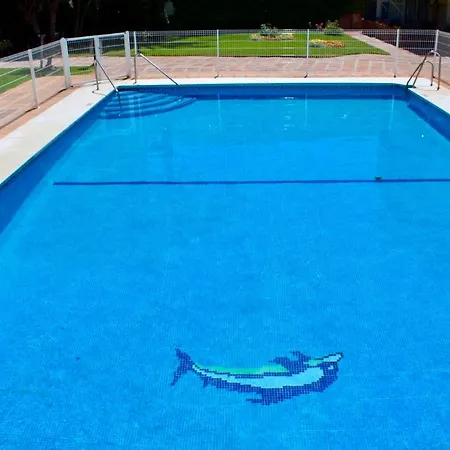 Bakari Arena * توريمولينوس